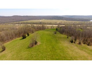 Property photo 18 - REAL ESTATE AUCTION - 1,013 ACRES IN 21 TRACTS IN MARTIN COUNTY, INDIANA